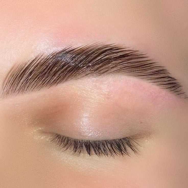Close-up of a perfectly groomed eyebrow over a closed eye.