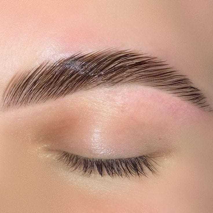 Close-up of a perfectly groomed eyebrow over a closed eye.
